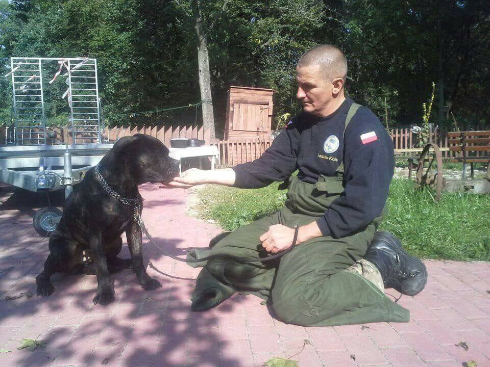 W dniu 28.09.2017 Coco została przewieziona do hoteliku w Chata Leona .